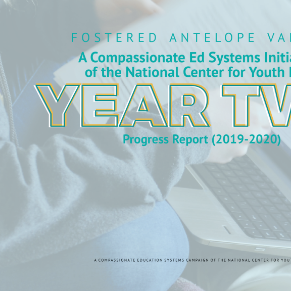 FosterEd Antelope Valley 2 year progress report cover student with computer